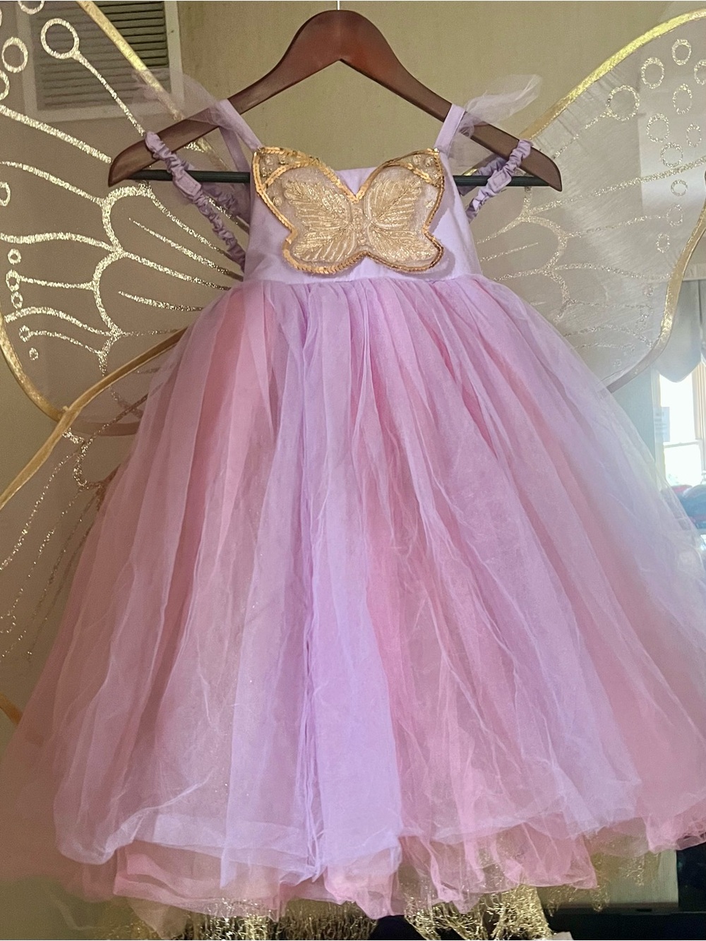 Pottery Barn Kids Lavender-Pink Tulle Fairy Dress with Gold Butterfly and Wings